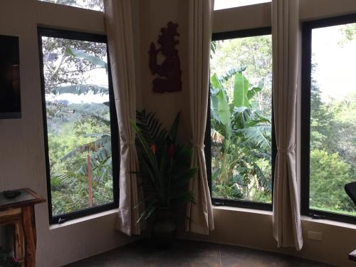 three windows in a room with a view of trees at Villa Cayo in San Ignacio