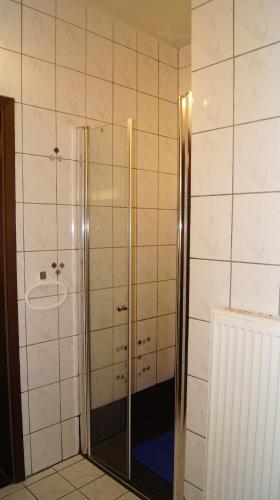 a shower with a glass door in a bathroom at Die Ferienwohnungen Dominik , Fill in Horath