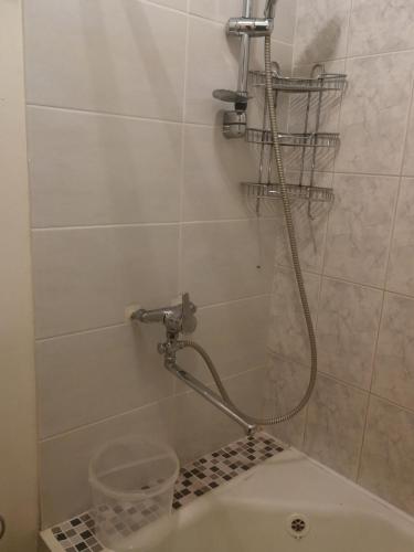 Flat, 1 room, study في بانيفيزيس: دش في حمام مزود بمرحاض