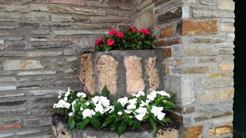 a flower box with red and white flowers on a brick wall at Guest House Sakis. in Órma