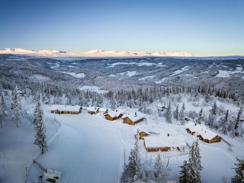 an aerial view of a ski lodge in the snow at Liapark in Ål