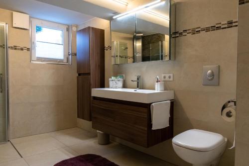 ein Badezimmer mit einem Waschbecken, einem WC und einem Spiegel in der Unterkunft 29 Am Knauersbach in Nürnberg