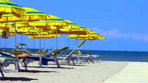 Imagen de la galería de Hotel Tritone Rimini, en Rímini