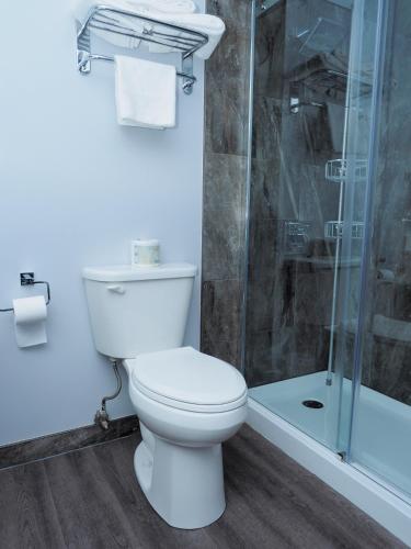 a bathroom with a toilet and a shower at Argyll Plaza Hotel in Edmonton