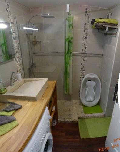 une salle de bain avec un lavabo et des toilettes dans l'établissement Puerta Del Sol, à Cassis