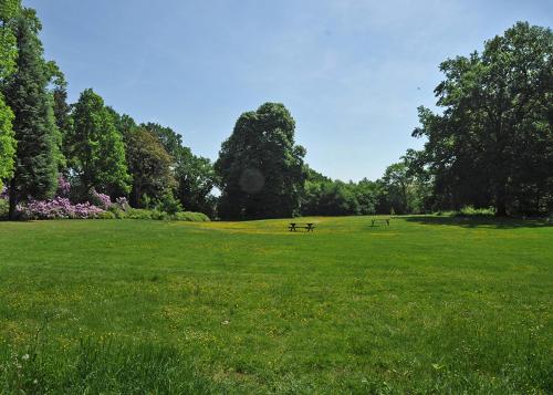 two benches in a grassy field with trees at Het Domherenhuis B&B, Restaurant Calice in Heusden - Zolder