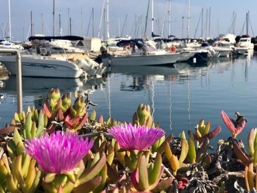 a bunch of flowers on the shore of a marina at Casa Limone in Quartu sant Elena, Capitana, with sea view! in Capitana