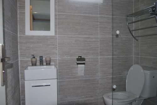 ein Bad mit einem WC und einem Waschbecken in der Unterkunft Villa Un Jour, Un Rêve in Chassaing