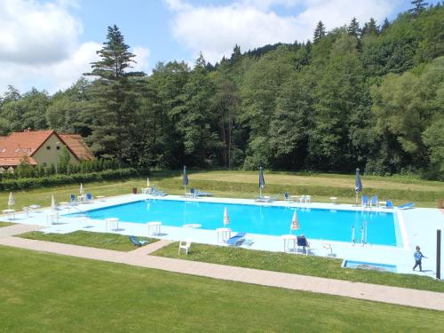 a large blue swimming pool in a grass field at Hotel Bazant in Karlovy Vary