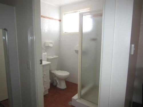 a white bathroom with a toilet and a shower at Top of the Town Motel in Inverell