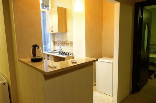 mała kuchnia ze zlewem i lodówką w obiekcie Apartment Vorontsov w mieście Tbilisi City