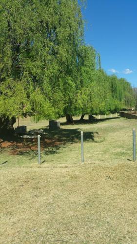 a field with trees and poles in the grass at Aloes Lodge in Leribe