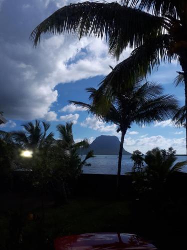 a view of the ocean from a resort with palm trees at Apt in La Gaulette in La Gaulette