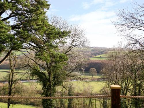 a tree in a field with a fence at Little Silver Leaf in High Bickington