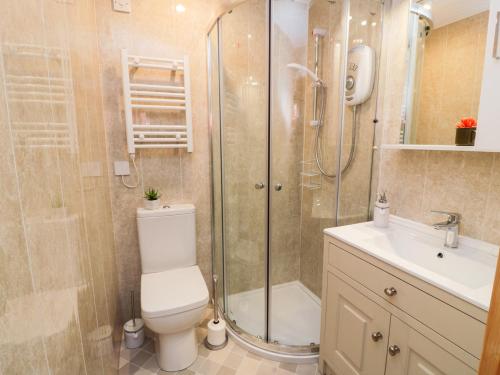 a bathroom with a shower and a toilet and a sink at Garden Cottage in Castle Douglas