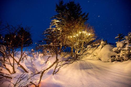 a snow covered path with trees and lights at RUSUTSU HOLIDAY CHALET in Rusutsu