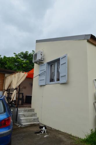 a cat sitting in front of a building with a window at Studio tout confort avec son jacuzzi in Saint-Louis