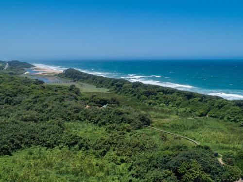 Una vista aérea de una playa con árboles y el océano. en Umhlanga Cabanas, en Durban