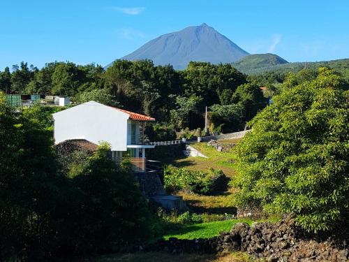 a house on a hill with a mountain in the background at Casa dos Caldeiras in Lajes do Pico
