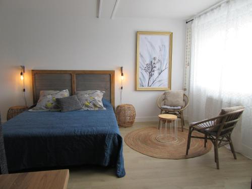 um quarto com uma cama, uma cadeira e uma mesa em Les Bordes em Vineuil