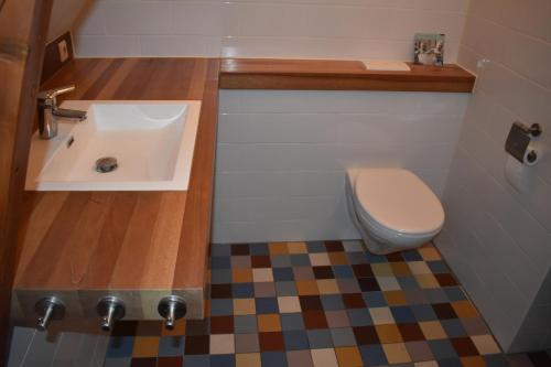 a bathroom with a toilet and a sink at B&B Molenstraat in Den Burg