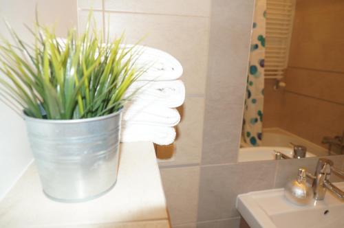 a bathroom with a potted plant on a counter at Nadmorski Apartament in Hel