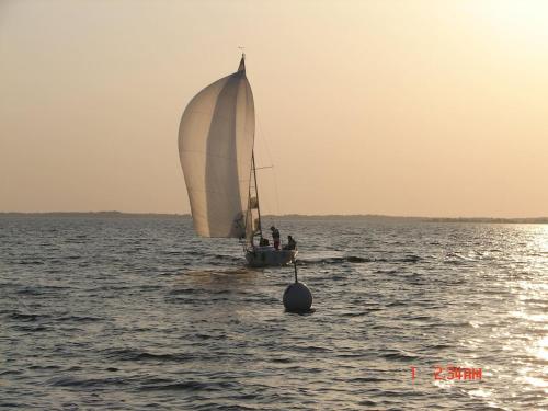 a boat with a white sail in the water at Chez Karinette in Les Rivières-Henruel