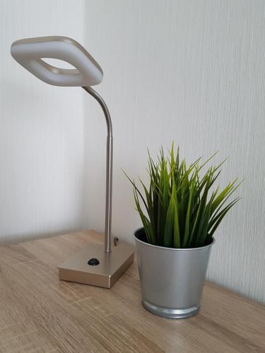 a lamp sitting next to a potted plant on a table at Hotel Silbertanne in Hohegeiß