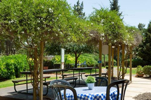 a group of tables and chairs under a tree at Kibbutz Malkiya Travel Hotel in Malkiyya