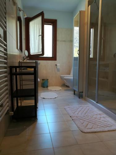 a bathroom with a shower and a toilet and a mirror at Casa Felicité - di Francesca e Antonio in Valmareno