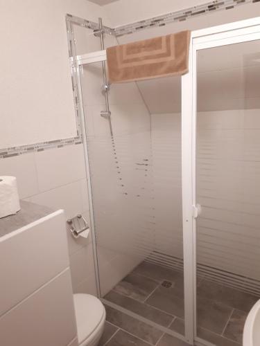 La salle de bains est pourvue d'une douche et de toilettes. dans l'établissement Meschkes Gasthaus Pension, à Hohnstein