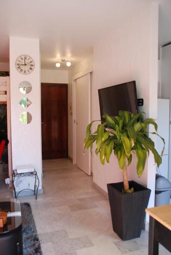 un salon avec une plante et une horloge au mur dans l'établissement Studio - Juan les pins - proximité plages, à Antibes