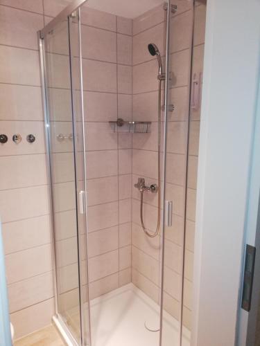 a shower with a glass enclosure in a bathroom at Eleonora Apartment in Winterberg