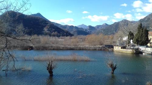 two trees in the water with mountains in the background at Lux Apartment Sunset in Virpazar
