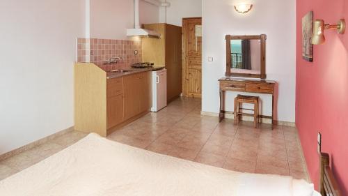 a large kitchen with a sink and a mirror at Pharos Rooms in Ilia
