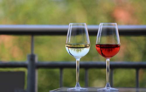 zwei Gläser Wein auf einer Schiene in der Unterkunft Romantisches Torhaus in Sommerhausen