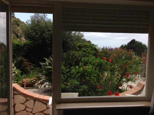 a window view of a garden with red flowers at Hotel 4 Stagioni in Capri