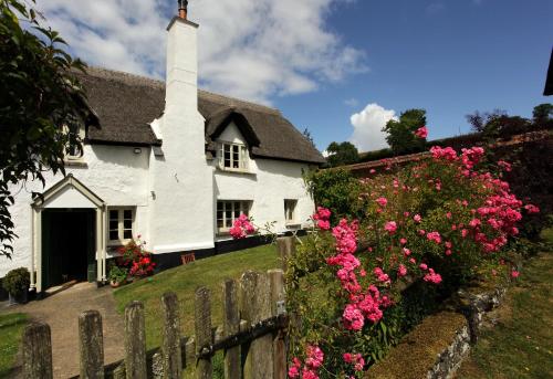 Uma casa branca com flores cor-de-rosa à frente. em Brook Farmhouse em Exeter