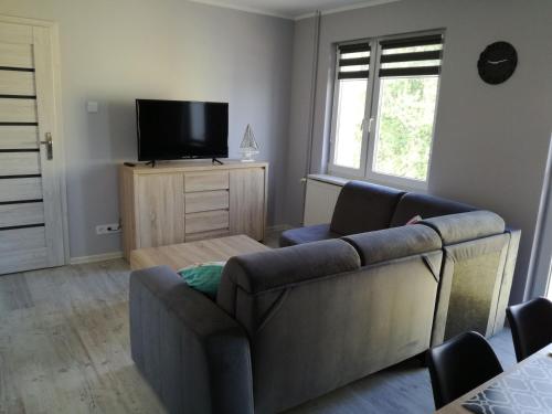 TV a/nebo společenská místnost v ubytování Apartament Nad Dziwną