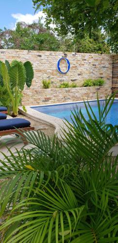 a pool with two chairs and plants next to a fence at Poza Clara Sanctuary in Bacalar