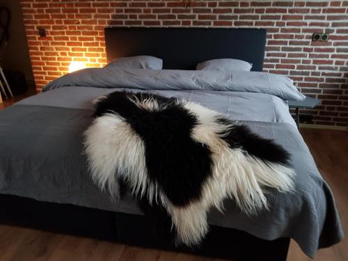 a black and white dog laying on a bed at Strand zuid in Egmond aan Zee