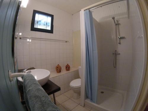 a bathroom with a shower and a sink and a toilet at La plage de Petit-Havre in Le Gosier