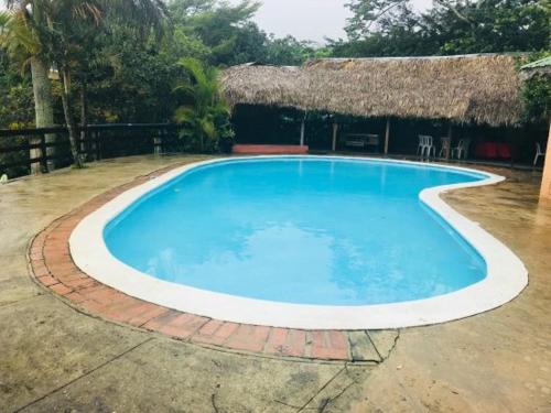 une grande piscine bleue avec toit de chaume dans l'établissement Los Bohios Campo Añil, à Jarabacoa