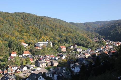 a small town in the mountains with houses and trees at Hotel SchwarzaBurg in Schwarzburg