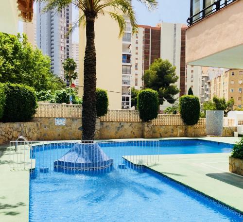 a swimming pool with a palm tree in a city at Edificio Cadiz Benidorm in Benidorm