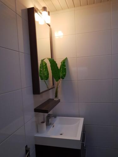 a bathroom with a sink and a mirror and a plant at Strand zuid in Egmond aan Zee
