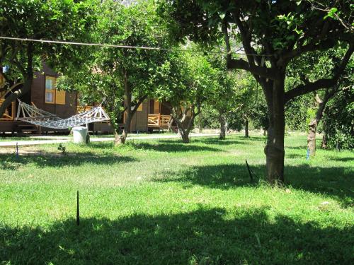 a park with a hammock in the shade of trees at Baris Pension & Bungalows in Cıralı
