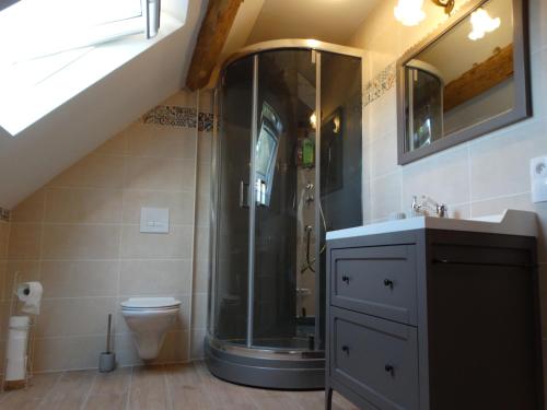 a bathroom with a shower and a toilet at B&B Le Corbier in Herry