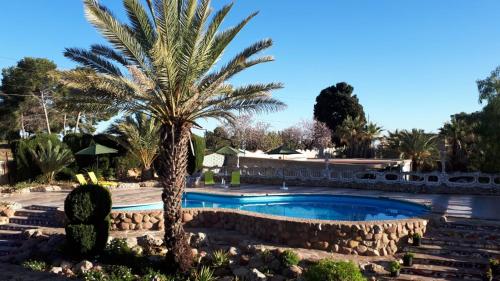 a palm tree in a yard with a swimming pool at "La Chacra" Casa Típica Valenciana in Godella