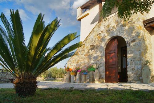 a house with a palm tree next to a door at Agriturismo Mammarella in Altavilla Silentina